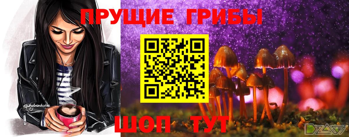 Галлюциногенные грибы GOLDEN TEACHER Солнечногорск