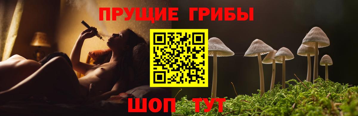 Галлюциногенные грибы GOLDEN TEACHER  Вход с VPN  купить  сайты  Солнечногорск 
